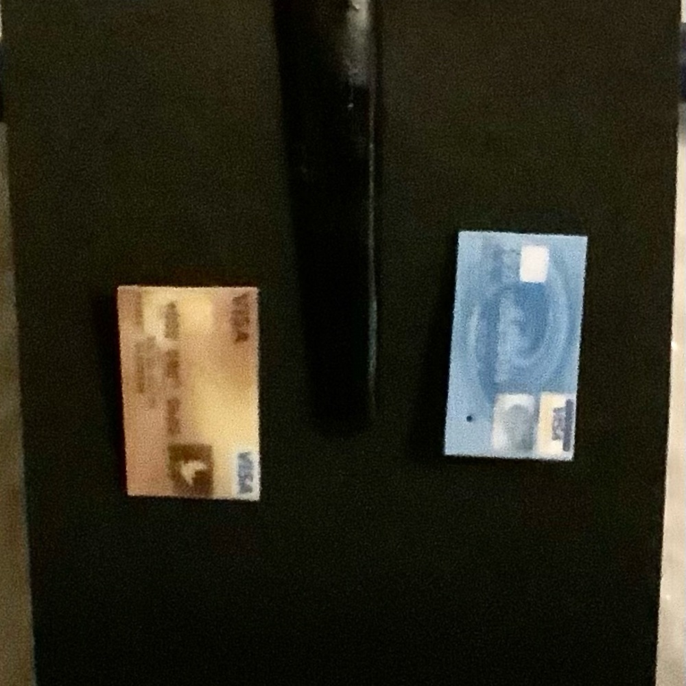 Visa Card Earrings